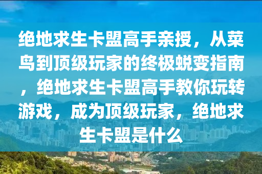 绝地求生卡盟高手亲授，从菜鸟到顶级玩家的终极蜕变指南，绝地求生卡盟高手教你玩转游戏，成为顶级玩家，绝地求生卡盟是什么
