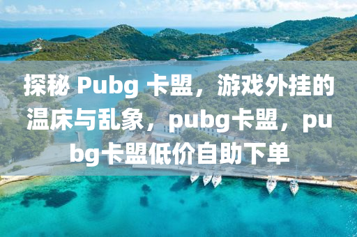 探秘 Pubg 卡盟，游戏外挂的温床与乱象，pubg卡盟，pubg卡盟低价自助下单