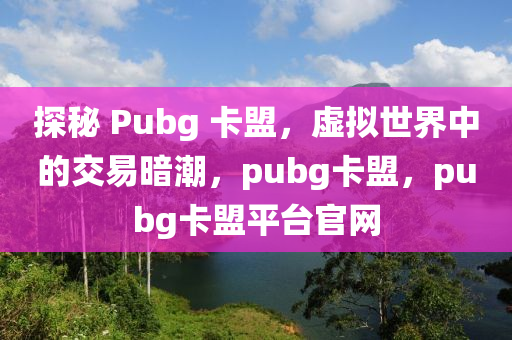 探秘 Pubg 卡盟，虚拟世界中的交易暗潮，pubg卡盟，pubg卡盟平台官网
