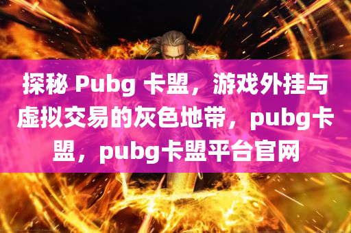 探秘 Pubg 卡盟，游戏外挂与虚拟交易的灰色地带，pubg卡盟，pubg卡盟平台官网