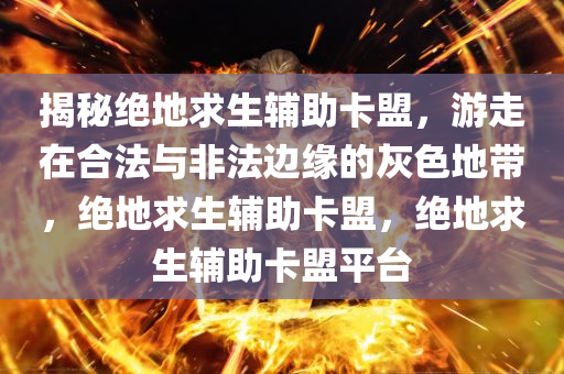 揭秘绝地求生辅助卡盟，游走在合法与非法边缘的灰色地带，绝地求生辅助卡盟，绝地求生辅助卡盟平台