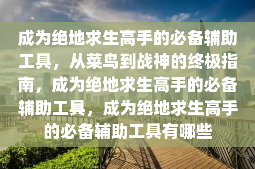 成为绝地求生高手的必备辅助工具，从菜鸟到战神的终极指南，成为绝地求生高手的必备辅助工具，成为绝地求生高手的必备辅助工具有哪些