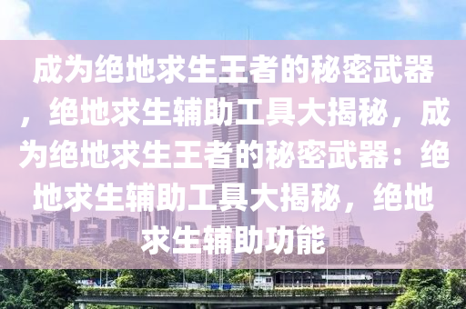成为绝地求生王者的秘密武器,绝地求生辅助工具大揭秘,成为绝地求生王者的秘密武器:绝地求生辅助工具大揭秘,绝地求生辅助功能