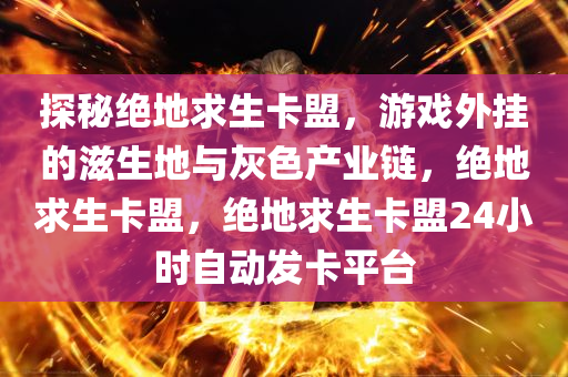 探秘绝地求生卡盟，游戏外挂的滋生地与灰色产业链，绝地求生卡盟，绝地求生卡盟24小时自动发卡平台