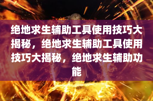 绝地求生辅助工具使用技巧大揭秘，绝地求生辅助工具使用技巧大揭秘，绝地求生辅助功能