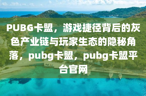 PUBG卡盟，游戏捷径背后的灰色产业链与玩家生态的隐秘角落，pubg卡盟，pubg卡盟平台官网