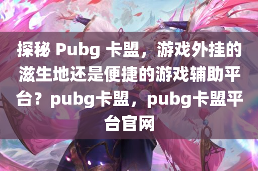 探秘 Pubg 卡盟，游戏外挂的滋生地还是便捷的游戏辅助平台？pubg卡盟，pubg卡盟平台官网