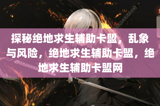探秘绝地求生辅助卡盟，乱象与风险，绝地求生辅助卡盟，绝地求生辅助卡盟网