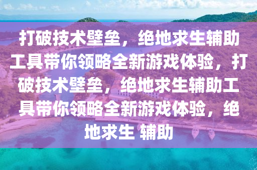 打破技术壁垒，绝地求生辅助工具带你领略全新游戏体验，打破技术壁垒，绝地求生辅助工具带你领略全新游戏体验，绝地求生 辅助