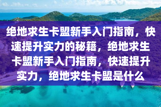 绝地求生卡盟新手入门指南，快速提升实力的秘籍，绝地求生卡盟新手入门指南，快速提升实力，绝地求生卡盟是什么