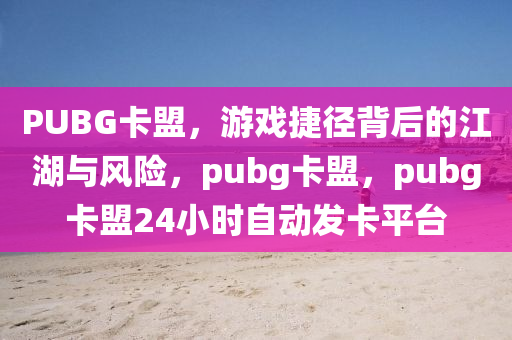 PUBG卡盟，游戏捷径背后的江湖与风险，pubg卡盟，pubg卡盟24小时自动发卡平台