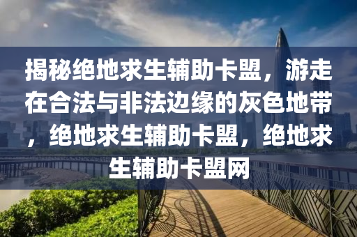 揭秘绝地求生辅助卡盟，游走在合法与非法边缘的灰色地带，绝地求生辅助卡盟，绝地求生辅助卡盟网