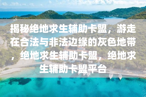 揭秘绝地求生辅助卡盟，游走在合法与非法边缘的灰色地带，绝地求生辅助卡盟，绝地求生辅助卡盟平台