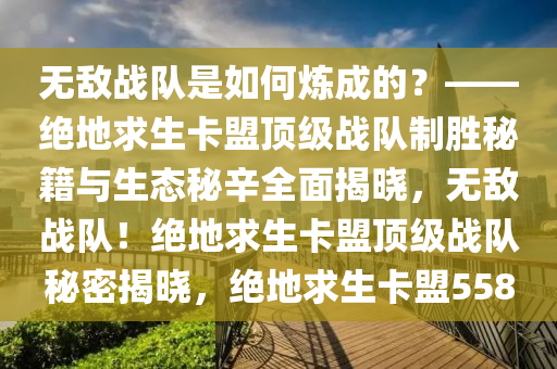 无敌战队是如何炼成的?——绝地求生卡盟顶级战队制胜秘籍与生态秘辛全面揭晓,无敌战队!绝地求生卡盟顶级战队秘密揭晓,绝地求生卡盟558