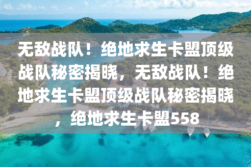 无敌战队！绝地求生卡盟顶级战队秘密揭晓，无敌战队！绝地求生卡盟顶级战队秘密揭晓，绝地求生卡盟558