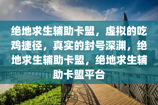 绝地求生辅助卡盟，虚拟的吃鸡捷径，真实的封号深渊，绝地求生辅助卡盟，绝地求生辅助卡盟平台