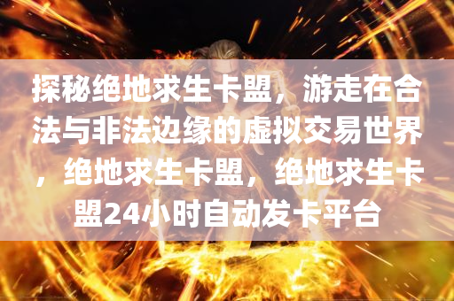 探秘绝地求生卡盟，游走在合法与非法边缘的虚拟交易世界，绝地求生卡盟，绝地求生卡盟24小时自动发卡平台