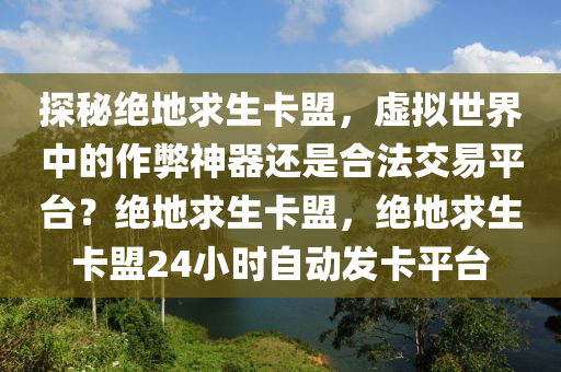 探秘绝地求生卡盟，虚拟世界中的作弊神器还是合法交易平台？绝地求生卡盟，绝地求生卡盟24小时自动发卡平台