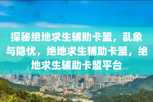 探秘绝地求生辅助卡盟，乱象与隐忧，绝地求生辅助卡盟，绝地求生辅助卡盟平台