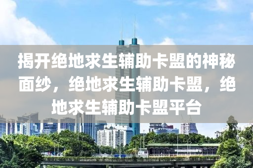 揭开绝地求生辅助卡盟的神秘面纱，绝地求生辅助卡盟，绝地求生辅助卡盟平台