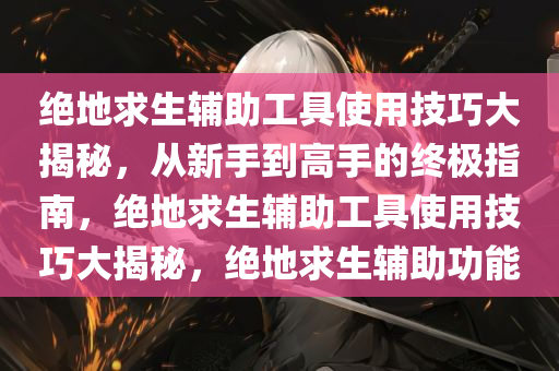 绝地求生辅助工具使用技巧大揭秘，从新手到高手的终极指南，绝地求生辅助工具使用技巧大揭秘，绝地求生辅助功能