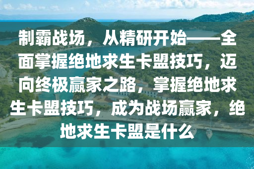 制霸战场，从精研开始——全面掌握绝地求生卡盟技巧，迈向终极赢家之路，掌握绝地求生卡盟技巧，成为战场赢家，绝地求生卡盟是什么