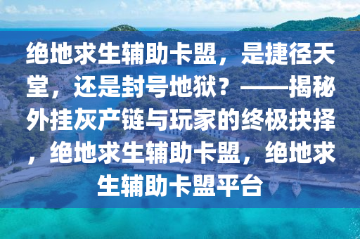 绝地求生辅助卡盟,是捷径天堂,还是封号地狱?——揭秘外挂灰产链与玩家的终极抉择,绝地求生辅助卡盟,绝地求生辅助卡盟平台