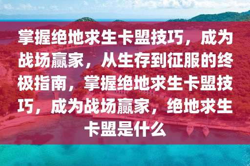 掌握绝地求生卡盟技巧，成为战场赢家，从生存到征服的终极指南，掌握绝地求生卡盟技巧，成为战场赢家，绝地求生卡盟是什么