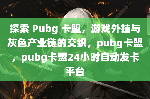 探索 Pubg 卡盟，游戏外挂与灰色产业链的交织，pubg卡盟，pubg卡盟24小时自动发卡平台