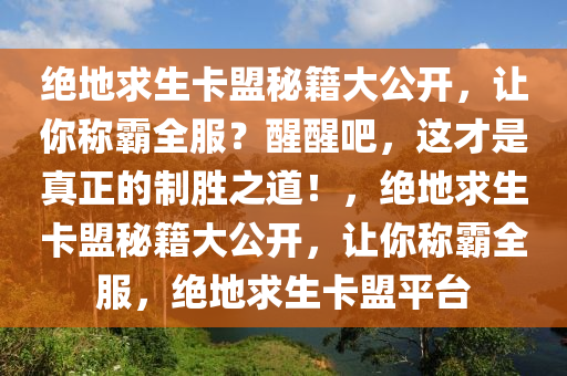 绝地求生卡盟秘籍大公开,让你称霸全服?醒醒吧,这才是真正的制胜之道!,绝地求生卡盟秘籍大公开,让你称霸全服,绝地求生卡盟平台
