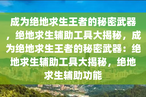 成为绝地求生王者的秘密武器，绝地求生辅助工具大揭秘，成为绝地求生王者的秘密武器：绝地求生辅助工具大揭秘，绝地求生辅助功能