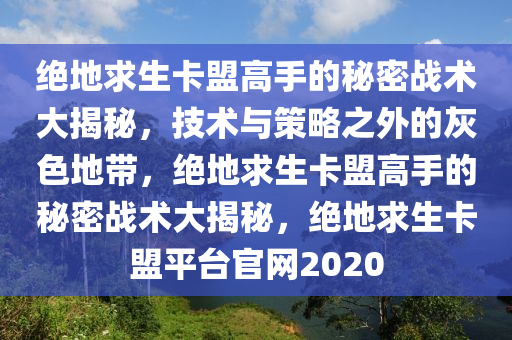 绝地求生卡盟高手的秘密战术大揭秘，技术与策略之外的灰色地带，绝地求生卡盟高手的秘密战术大揭秘，绝地求生卡盟平台官网2020