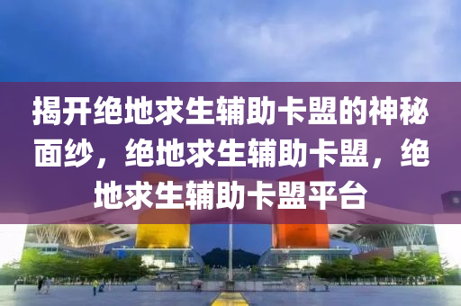 揭开绝地求生辅助卡盟的神秘面纱，绝地求生辅助卡盟，绝地求生辅助卡盟平台