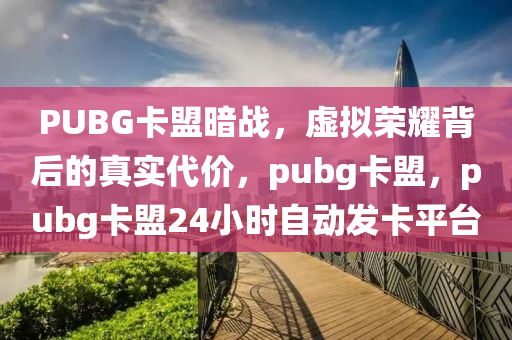 PUBG卡盟暗战，虚拟荣耀背后的真实代价，pubg卡盟，pubg卡盟24小时自动发卡平台