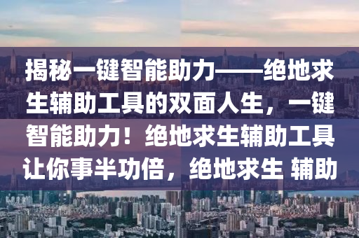 揭秘一键智能助力——绝地求生辅助工具的双面人生，一键智能助力！绝地求生辅助工具让你事半功倍，绝地求生 辅助