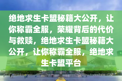 绝地求生卡盟秘籍大公开，让你称霸全服，荣耀背后的代价与救赎，绝地求生卡盟秘籍大公开，让你称霸全服，绝地求生卡盟平台