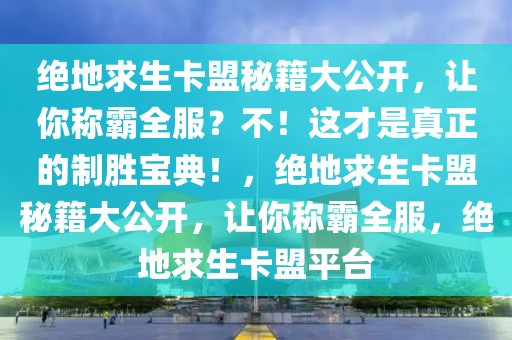 绝地求生卡盟秘籍大公开，让你称霸全服？不！这才是真正的制胜宝典！，绝地求生卡盟秘籍大公开，让你称霸全服，绝地求生卡盟平台