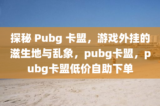 探秘 Pubg 卡盟，游戏外挂的滋生地与乱象，pubg卡盟，pubg卡盟低价自助下单