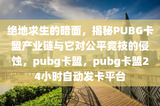 绝地求生的暗面，揭秘PUBG卡盟产业链与它对公平竞技的侵蚀，pubg卡盟，pubg卡盟24小时自动发卡平台