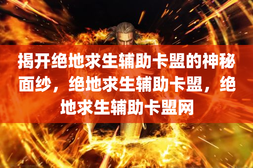 揭开绝地求生辅助卡盟的神秘面纱，绝地求生辅助卡盟，绝地求生辅助卡盟网