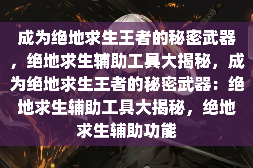 成为绝地求生王者的秘密武器，绝地求生辅助工具大揭秘，成为绝地求生王者的秘密武器：绝地求生辅助工具大揭秘，绝地求生辅助功能