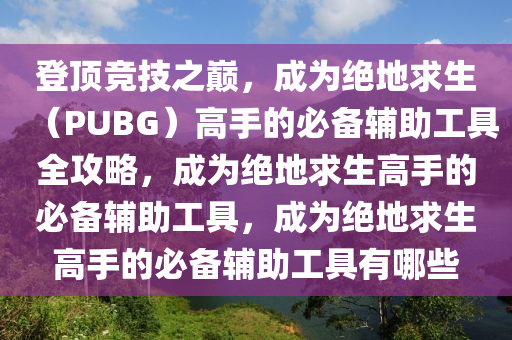 登顶竞技之巅，成为绝地求生（PUBG）高手的必备辅助工具全攻略，成为绝地求生高手的必备辅助工具，成为绝地求生高手的必备辅助工具有哪些