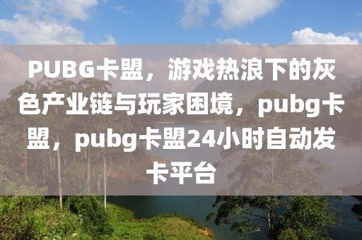 PUBG卡盟,游戏热浪下的灰色产业链与玩家困境,pubg卡盟,pubg卡盟24小时自动发卡平台
