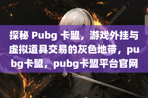 探秘 Pubg 卡盟，游戏外挂与虚拟道具交易的灰色地带，pubg卡盟，pubg卡盟平台官网