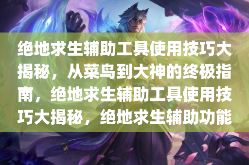 绝地求生辅助工具使用技巧大揭秘，从菜鸟到大神的终极指南，绝地求生辅助工具使用技巧大揭秘，绝地求生辅助功能