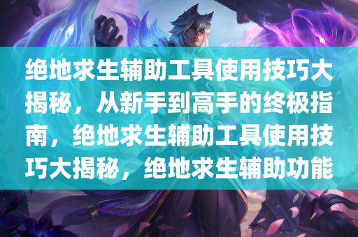 绝地求生辅助工具使用技巧大揭秘，从新手到高手的终极指南，绝地求生辅助工具使用技巧大揭秘，绝地求生辅助功能
