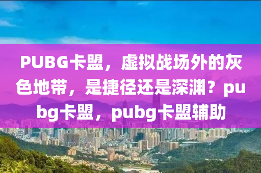 PUBG卡盟,虚拟战场外的灰色地带,是捷径还是深渊?pubg卡盟,pubg卡盟辅助