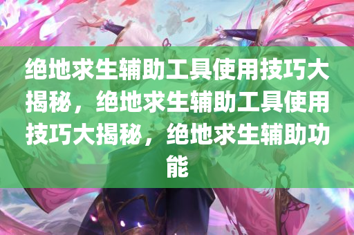 绝地求生辅助工具使用技巧大揭秘，绝地求生辅助工具使用技巧大揭秘，绝地求生辅助功能