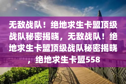 无敌战队！绝地求生卡盟顶级战队秘密揭晓，无敌战队！绝地求生卡盟顶级战队秘密揭晓，绝地求生卡盟558