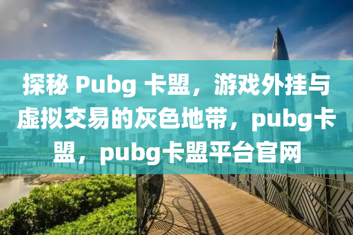 探秘 Pubg 卡盟，游戏外挂与虚拟交易的灰色地带，pubg卡盟，pubg卡盟平台官网